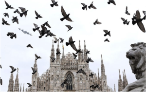 Sr. Mary Ann Hawes - Milan Duomo