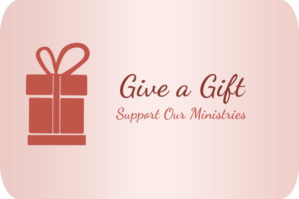 Give the Missionary Sisters a donation button