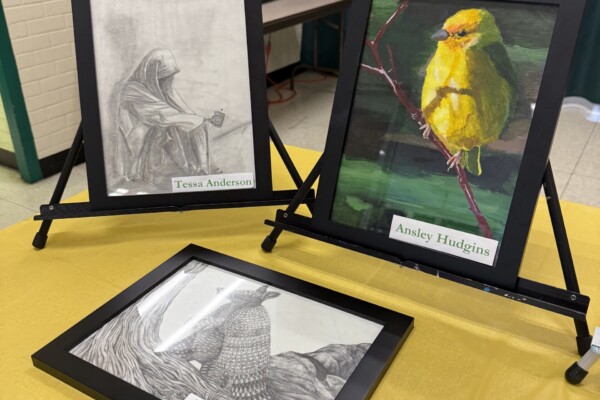 A Full House of Talent CHS Spring Arts Festival