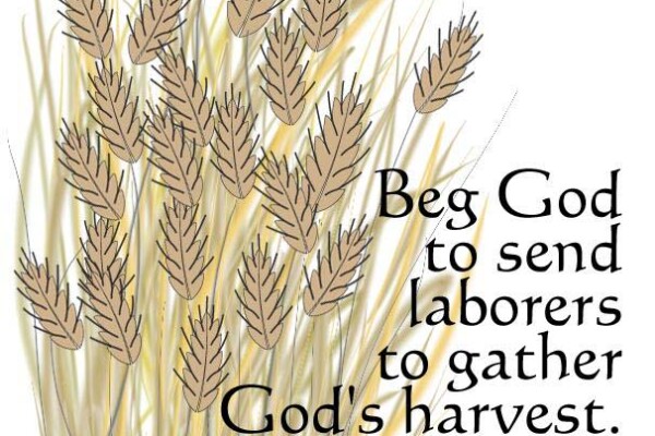 National Vocation Awareness Week - November 2 -8